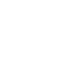 Ananas Impex